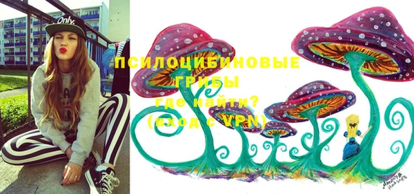 прущая мука Верхний Тагил