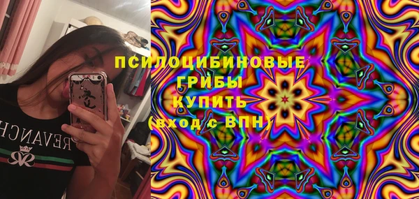 прущая мука Верея