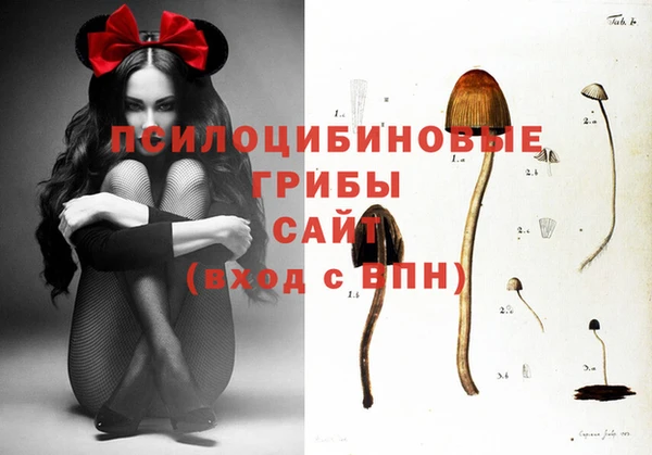 прущая мука Верея
