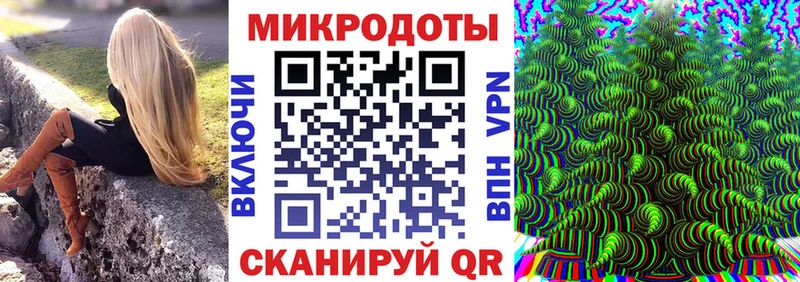 Купить  Зеленодольск  Псилоцибиновые грибы Psilocybine cubensis 